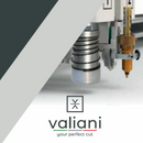 CATALOGO VALIANI - Macchine da taglio italiane professionali